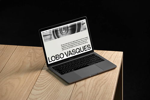 專業(yè)之聲｜LOBO VASQUES精品律師事務(wù)所品牌視覺(jué)與廣告設(shè)計(jì)解析