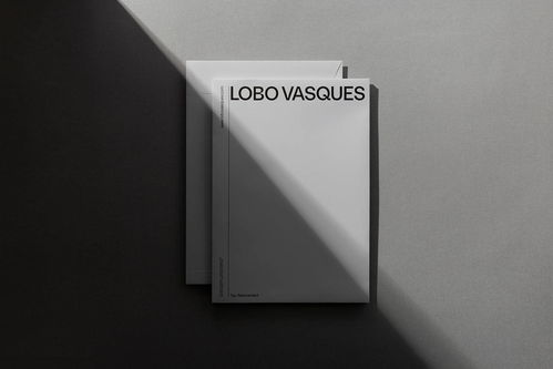 視覺(jué)正義 LOBO VASQUES精品律師事務(wù)所品牌形象與廣告設(shè)計(jì)解析